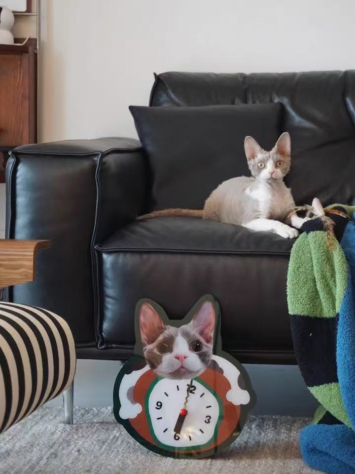 A clock unique as your pet (static version)