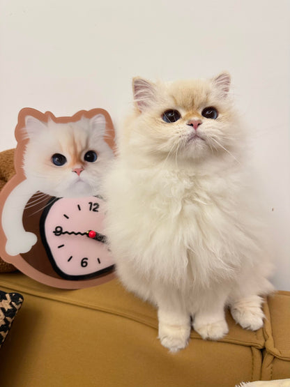 A clock unique as your pet