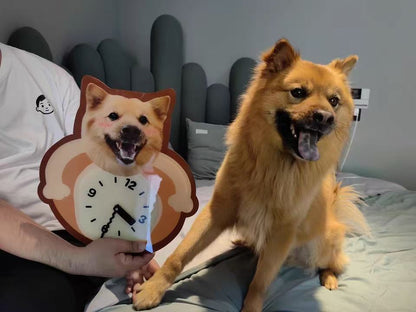 A clock unique as your pet (static version)