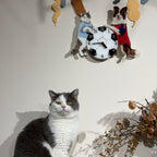 Custom Pet Soccer Clock | Personalized Moving Football Clock for Dogs & Cats