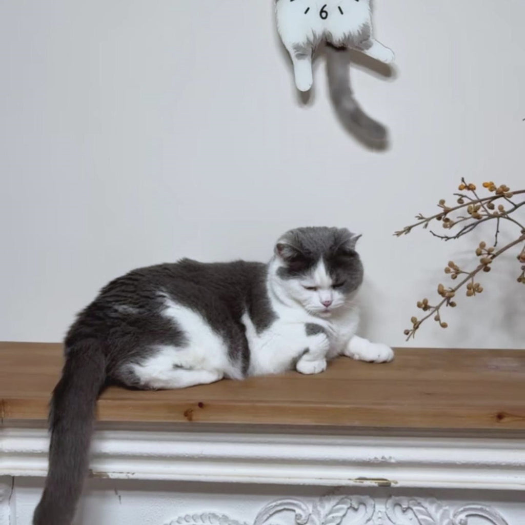 Custom Cat Clock | Personalized Moving Belly Up Clock with Wagging Tail for Cats