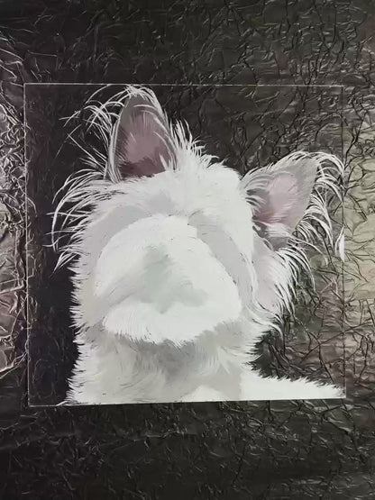 3D Memories of Your Furry Friend